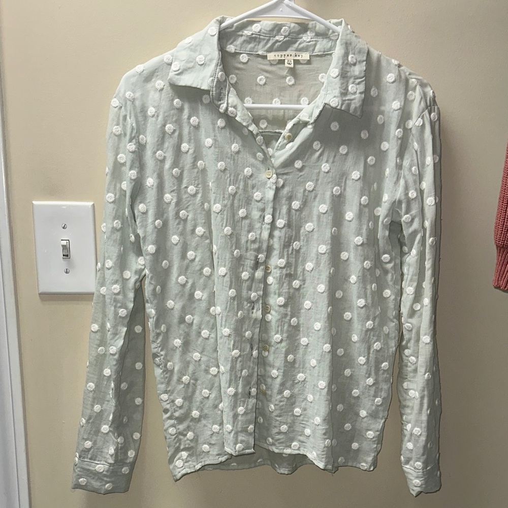 NWOT Copper Key Light Green Polka Dot blouse